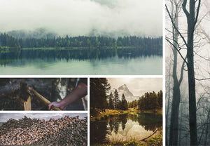 KINDLING