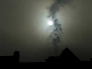 NEW MOON